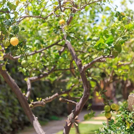 Farm stay Tenuta Margherita Torre Lapillo