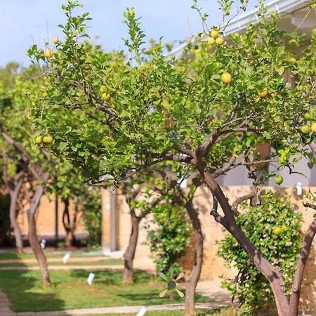 Tenuta Margherita *